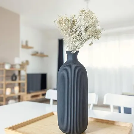 公寓 L'Aurore - Wifi - Tv *